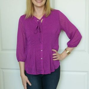 Skies are Blue Aguilar Tie Neck Blouse